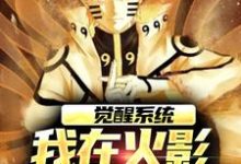 已完结小说《觉醒系统，我在火影世界赢麻了》最新章节-经典文学