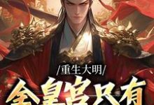 重生大明：全皇宫只有我得了天花小说全文哪里可以免费看？-经典文学