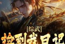 《综武：捡到我日记，师娘心凉了》小说沈青云宁中则章节章节免费在线阅读-经典文学