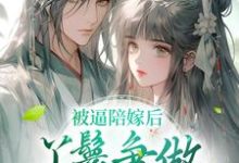 《被逼陪嫁后,丫鬟争做后宫第一人》小说大结局免费试读 孟姝小说-经典文学