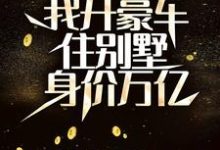 求分手后，我开豪车住别墅身价万亿小说的全文免费阅读链接-经典文学