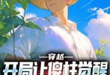 穿越：开局让傻柱觉醒，不做舔狗张峰傻柱，穿越：开局让傻柱觉醒，不做舔狗最新章节-经典文学