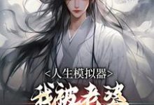 人生模拟器：我被老婆逼成世间极境（白棋）在线免费阅读-经典文学