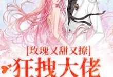 玫瑰又甜又撩，狂拽大佬只想要名分小说最新章节在哪里可以读到？-经典文学