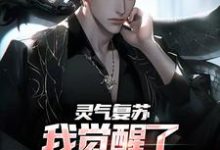 灵气复苏：我觉醒了香火功德系统小说，灵气复苏：我觉醒了香火功德系统免费阅读-经典文学