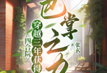 完结版《四合院：喜提巴掌之力，我不装了》在线免费阅读-经典文学