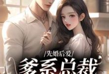 先婚后爱：爹系总裁超宠的！小说，先婚后爱：爹系总裁超宠的！在线阅读-经典文学