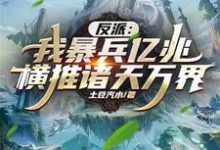 反派:我暴兵亿兆横推诸天万界!小说的免费电子版在哪里可以下载或阅读?-经典文学