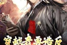 《穿越者要造反，结果成保国了！》全集免费在线阅读（元子明）-经典文学
