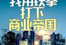 已完结小说《兵王入红尘：我用铁拳打下商业帝国》最新章节-经典文学