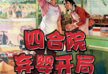 小说《四合院：弃婴开局，被易中海收养》章节免费阅读-经典文学
