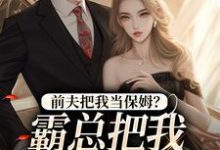 安雨晴霍斯恒小说完结版在线阅读，前夫把我当保姆？霸总把我心尖宠！免费看-经典文学