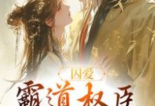 卿言容寂小说叫什么(囚爱,霸道权臣诱娇婢女免费阅读)-经典文学