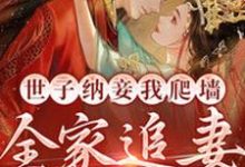 小说《世子纳妾我爬墙，全家追妻悔断肠》在线章节阅读-经典文学