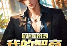 穿越四合院：我的智商震惊高层易鑫在线章节免费阅读-经典文学