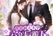 宋时今傅寒舟小说《缠绵过后，心机霸总不装了》在线阅读-经典文学
