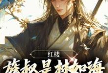红楼：族叔是林如海，在线当大佬林民意林黛玉小说完结版章节在线阅读-经典文学