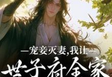 完结版《宠妾灭妻，我让世子府全家跪地求饶》章节阅读-经典文学