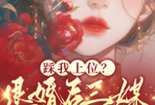 踩我上位？退婚后三媒六聘嫁他哥小说最新更新在哪里？免费在线看-经典文学