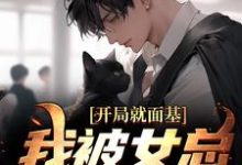 《开局就面基，我被女总裁甩了》小说大结局免费试读 叶青宋瑾瑶小说-经典文学