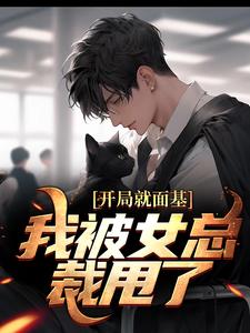 《开局就面基，我被女总裁甩了》小说大结局免费试读 叶青宋瑾瑶小说