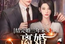 姜夏初陆怀宴小说在线章节免费阅读(结完婚三年未见,离婚他急红眼无弹窗无删减)-经典文学