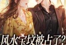完结版《风水宝坟被占了？霸总你让让我》章节阅读-经典文学