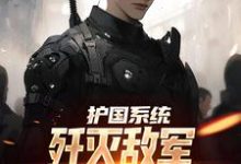 护国系统:歼灭敌军我一拳就搞定小说有没有完整的免费版本在线阅读?-经典文学