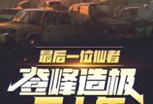 已完结小说《最后一位仙者，登峰造极五十年》章节在线阅读-经典文学
