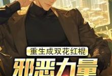 已完结小说《重生成双花红棍，邪恶力量颤抖吧！》章节在线阅读-经典文学
