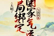 完结版《大明：开局绑定国家气运，与国同休》章节阅读-经典文学