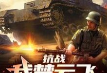 哪里可以免费找到抗战:我楚云飞,晋军元帅?-经典文学