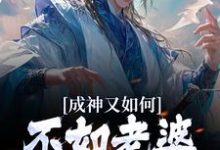 成神又如何，不如老婆孩子热炕头（扶光羲和）在线免费阅读-经典文学