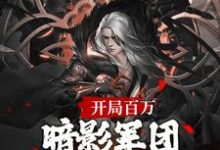 已完结小说《开局百万暗影军团！缔造不朽帝朝》章节免费阅读-经典文学