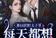求难以招架！太子爷每天都想强取豪夺小说的全文免费阅读链接-经典文学