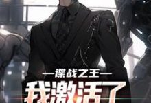 已完结小说《谍战之王:我激活了最强谍报系统》章节免费阅读-经典文学
