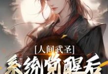 已完结小说《人间武圣，系统觉醒后我轻松达到》在线章节阅读-经典文学