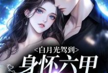 小说《白月光驾到身怀六甲,京圈炸燃了》章节免费阅读-经典文学