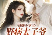 完结版《诱捕小乖宝,野痞太子爷强势攻陷》免费阅读-经典文学