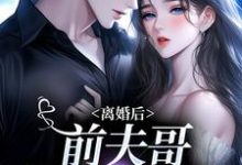 离婚后,前夫哥苦等我回头小说,离婚后,前夫哥苦等我回头景钰李岩松-经典文学