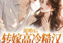退婚后转嫁高冷糙汉,渣男悔疯了小说完结了吗?在哪里可以免费读到?-经典文学