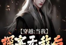 小说《穿越:当我探案无敌后,身份被爆了》章节免费阅读-经典文学