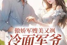 傲娇军嫂美又飒，冷面军爷被拿捏岑婧怡顾延卿小说在线章节免费阅读-经典文学