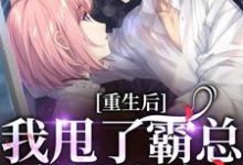 《重生后，我甩了霸总享单身夜》小说大结局免费试读 宁秋棠江晟小说-经典文学