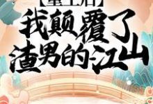 楚妙萧容瑾小说叫什么（重生后，我颠覆了渣男的江山！免费阅读）-经典文学