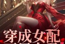 《穿成女配，开局有孕》小说章节列表免费试读，叶昭沈度小说在线阅读-经典文学