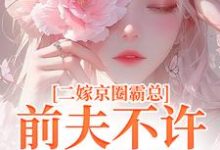 求二嫁京圈霸总，前夫不许来捣乱小说免费资源-经典文学