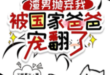 龙沅沅小说完结版在线阅读,渣男抛弃我,被国家爸爸宠翻了免费看-经典文学