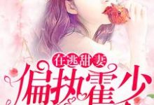 在线免费阅读在逃甜妻：偏执霍少放肆宠完整小说-经典文学