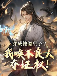 《穿成傀儡皇子？我唤不良人夺证权！》小说大结局免费试读 赵尘小说